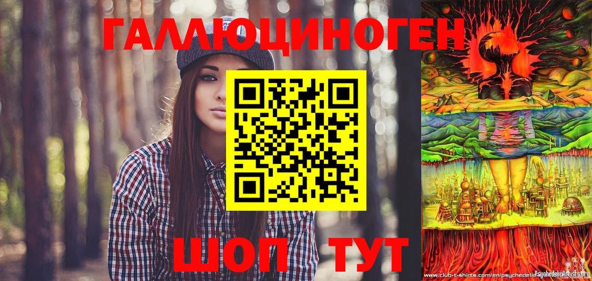 Малгобек  Галлюциногенные грибы Psilocybe  Вход с VPN 