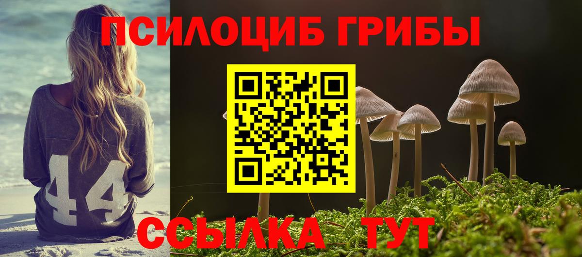 Галлюциногенные грибы GOLDEN TEACHER Малгобек